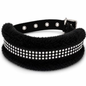 Premium Adjustable Dog Collar with Silver Beads And Safety Buckle